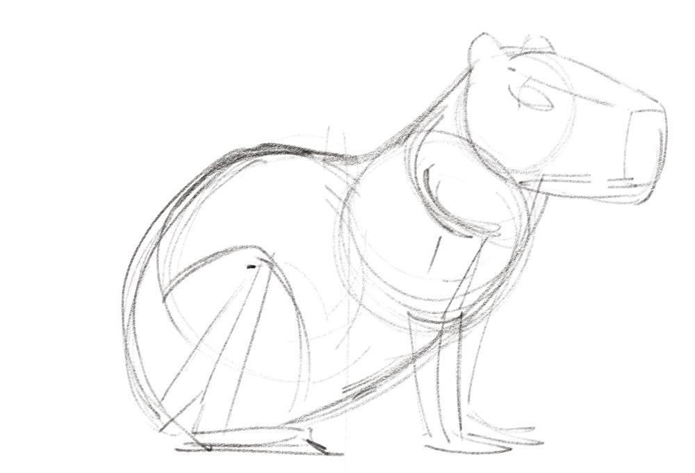 Concept da Capy 04